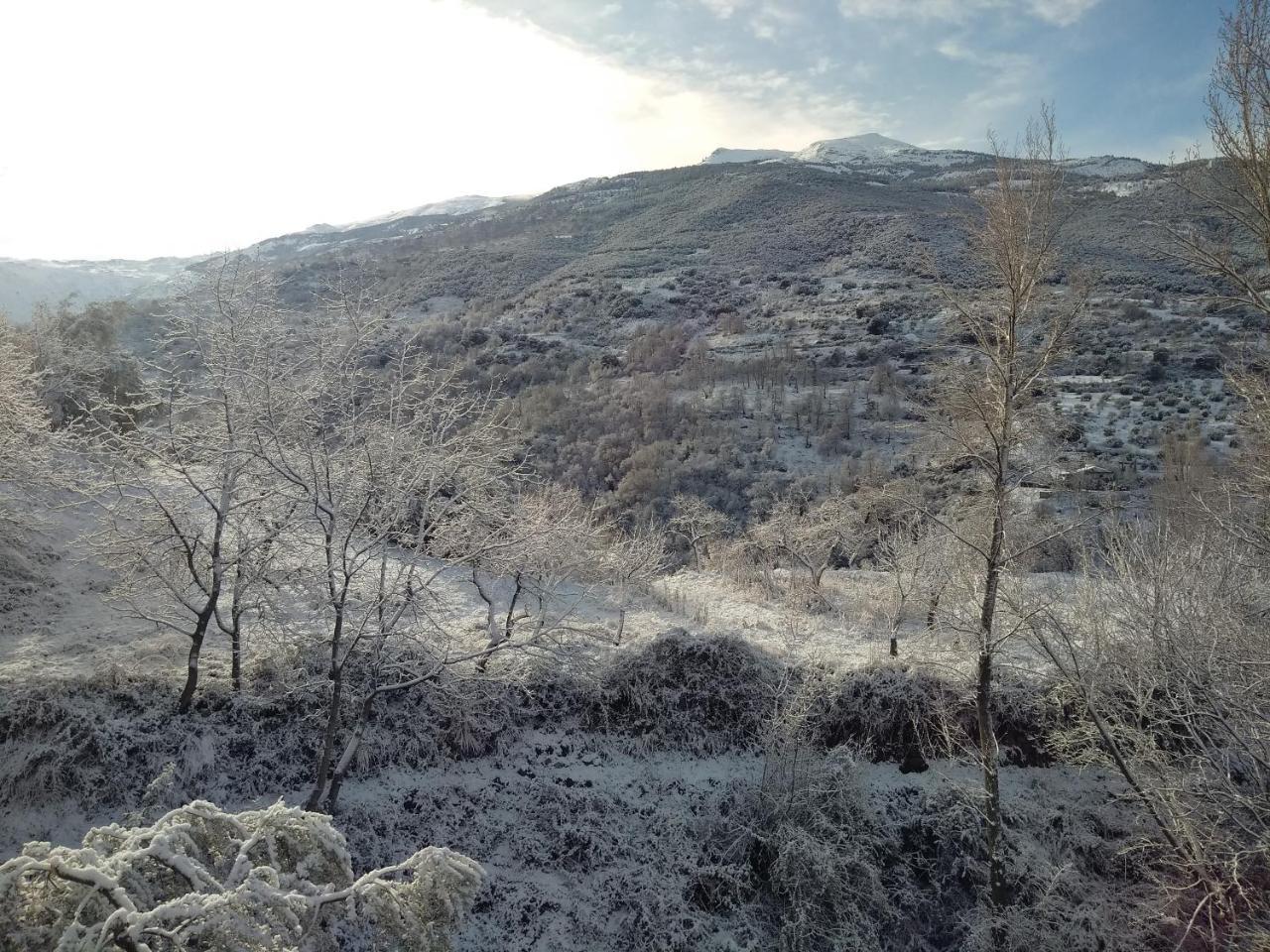 Casa Rural Arroyo De La Greda Guejar-Sierra Bagian luar foto
